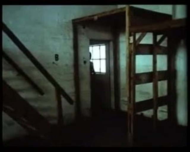 Marito Celibe… Moglie Nubile (1982)