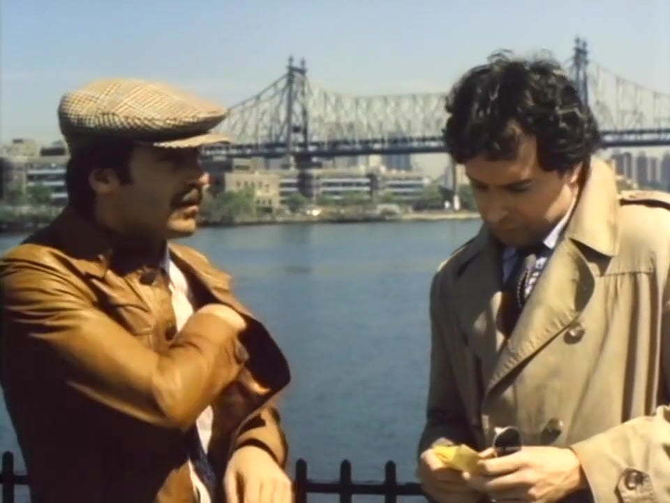 Voyeur (1985) – Chuck Vincent